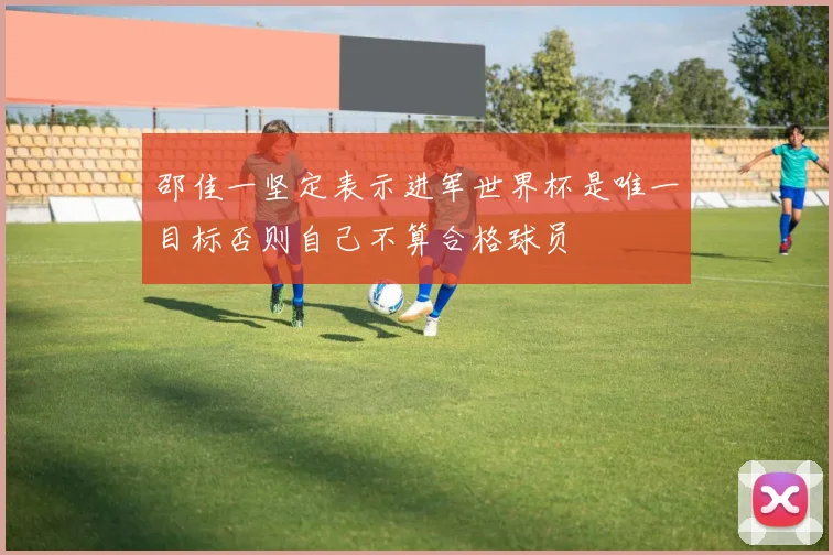邵佳一坚定表示进军世界杯是唯一目标否则自己不算合格球员